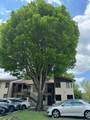143 Laurel Drive - Photo 44