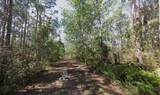 416 Palm Way - Photo 2