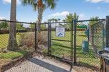 12932 Lake Fern Circle - Photo 60