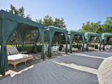 12898 Lake Fern Circle - Photo 57