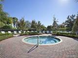 12898 Lake Fern Circle - Photo 60