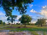 14769 244th Street - Photo 7