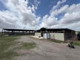 33700 Hwy 441 - Photo 33