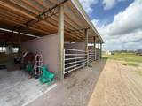 33700 Hwy 441 - Photo 40
