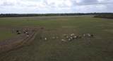 33700 Hwy 441 - Photo 55