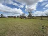 33700 Hwy 441 - Photo 64