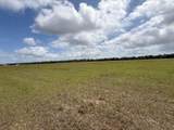33700 Hwy 441 - Photo 70