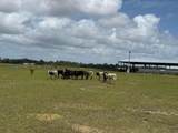 33700 Hwy 441 - Photo 72
