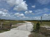33700 Hwy 441 - Photo 74