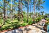 14645 Black Bear Road - Photo 39