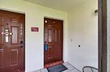 3814 Coco Loba Lane - Photo 49