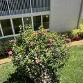 87 Piedmont B - Photo 28