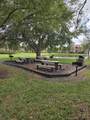 131 Palm Drive - Photo 9