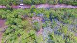 00 Bald Cypress Trail - Photo 5