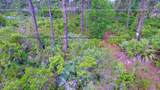 00 Bald Cypress Trail - Photo 6