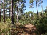 00 Bald Cypress Trail - Photo 7