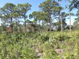 00 Bald Cypress Trail - Photo 8