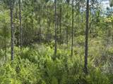 0 Holopaw Groves Road - Photo 2