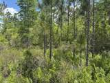 0 Holopaw Groves Road - Photo 3