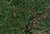 0 Holopaw Groves Road - Photo 1