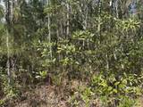 0 Holopaw Groves Road - Photo 2