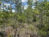 0 Holopaw Groves Road - Photo 2