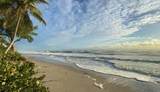 3606 Ocean Boulevard - Photo 55