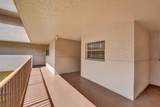 1811 Sabal Palm Drive - Photo 4