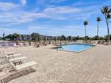 1811 Sabal Palm Drive - Photo 66