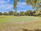 1811 Sabal Palm Drive - Photo 73