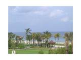 4445 El Mar Drive - Photo 9