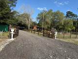 235 Sendero Street - Photo 2
