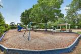 674 Turtleback Trail - Photo 35