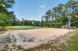 674 Turtleback Trail - Photo 36