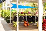 340 44th Court - Photo 44
