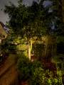 5518 Ainsley Court - Photo 39