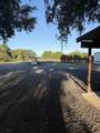 855 Datil Street - Photo 15