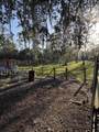 855 Datil Street - Photo 19