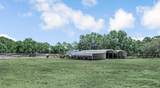 545 Bald Cypress Avenue - Photo 45