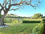 5110 Shore Boulevard - Photo 15