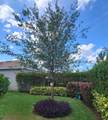 5324 Star Rush Lane - Photo 38