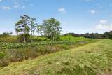 19 Dunbar Road - Photo 45