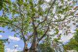 1720 10th Street - Photo 45