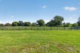 10157 La Reina Road - Photo 33