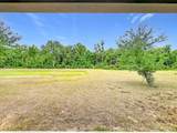 20029 Royal Tern Court - Photo 46