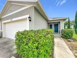 20029 Royal Tern Court - Photo 6