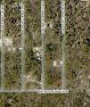 Tbd Buena Vista Road - Photo 3