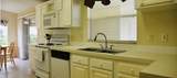 3801 Spatterdock Lane - Photo 6