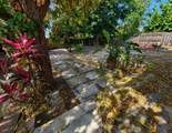 916 Francis Street - Photo 17