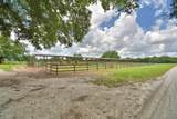 32801 Hwy 441 - Photo 19